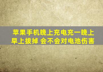 苹果手机晚上充电充一晚上早上拔掉 会不会对电池伤害